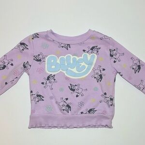 Toddler Girls ; Bluey Elevated Fleece Pullover - Purple Kids 3T